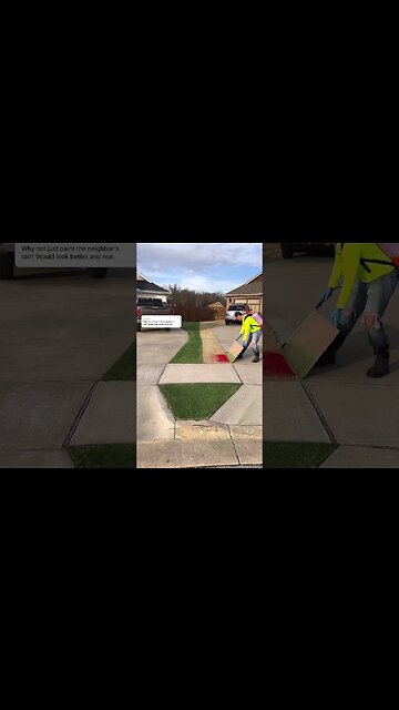 The internet told me to paint my neighbor’s lawn…