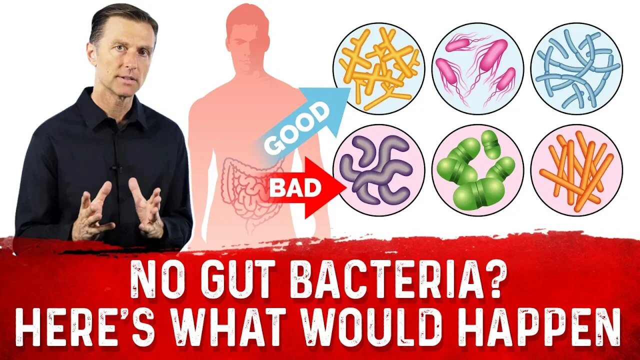 What Would Happen if You Get Rid of All Gut Bacteria? – Dr.Berg