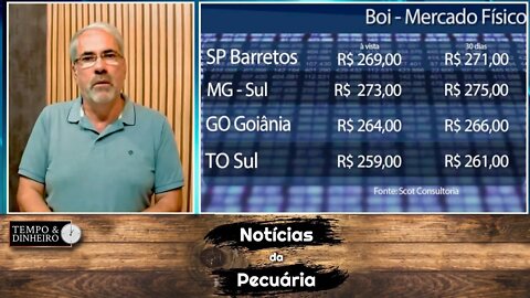 Boi gordo mantém cotação acima de R$300@ na B3 mas por enquanto não reflete no físico