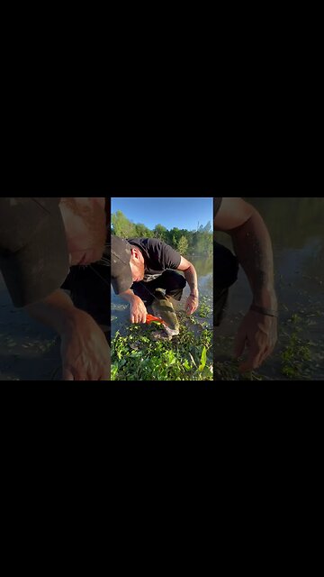 Gar Tagging And Unhooking 🦖