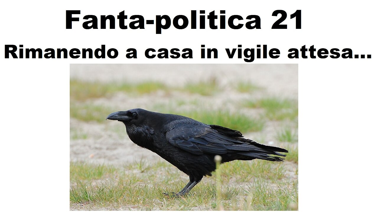 Fanta-politica 21: Rimanendo a casa in vigile attesa...