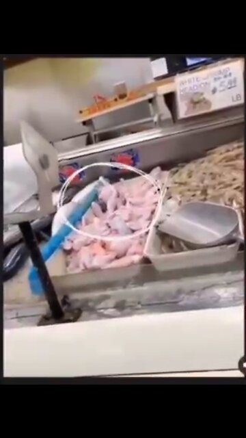 Urgent !! They are injecting your meat with Gene Therapy