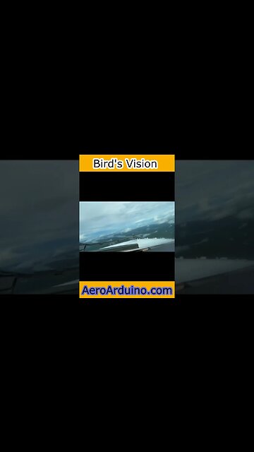 Insane Bird's Vision #Flying #Aviaiton #AeroArduino