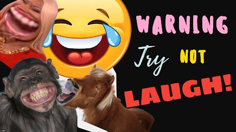 Try Not To Laugh in 30 second! FUNNY Win and Fails Compilation!