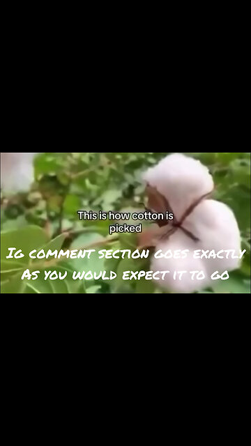 Racism is alive: innocent IG video goes left quick