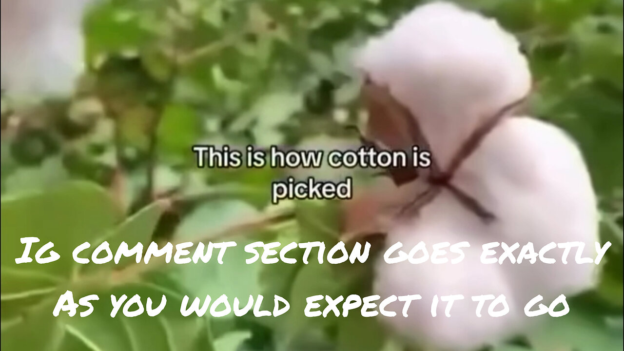 Racism is alive: innocent IG video goes left quick