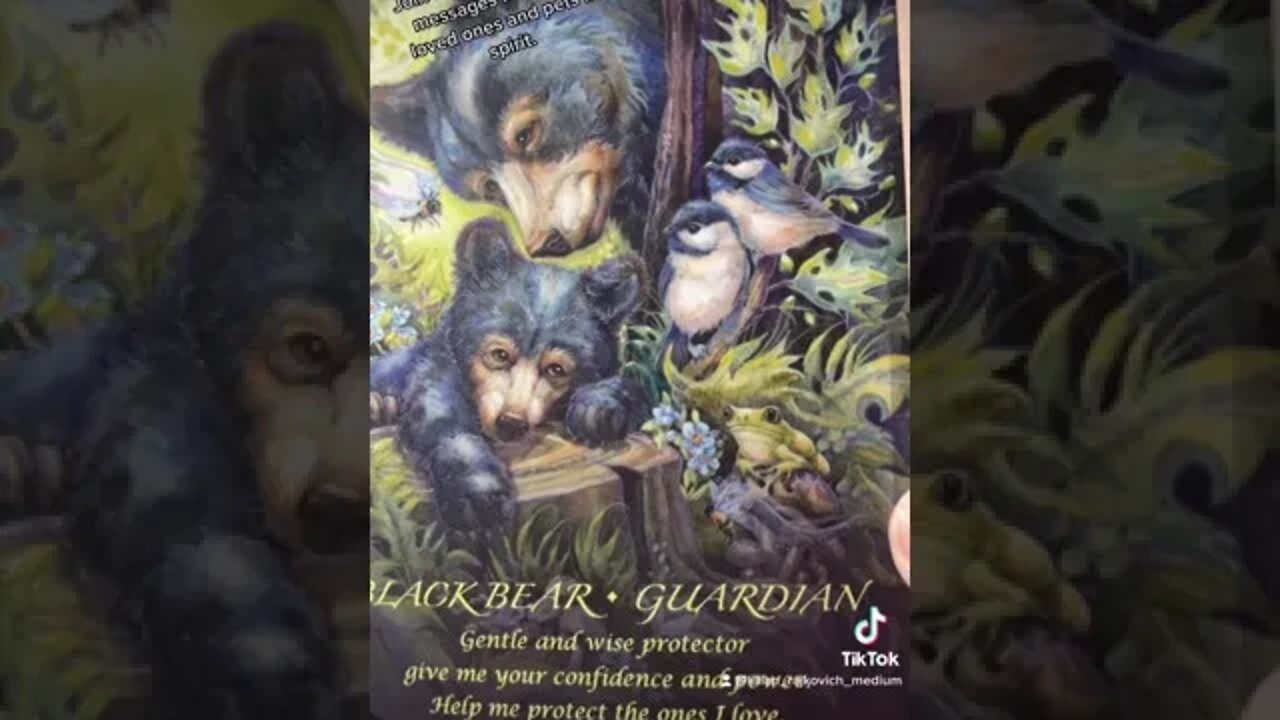 Animal Oracle Message #Spirituality #Oracle￼