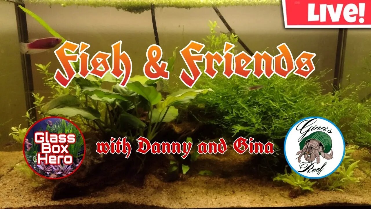 Fish & Friends with Danny and Gina | Season 2, Episode 15