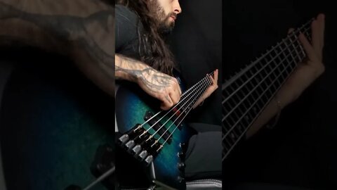 New MUSE single bass cover with TABS on my channel! 🔥🤘 #Muse #Shorts