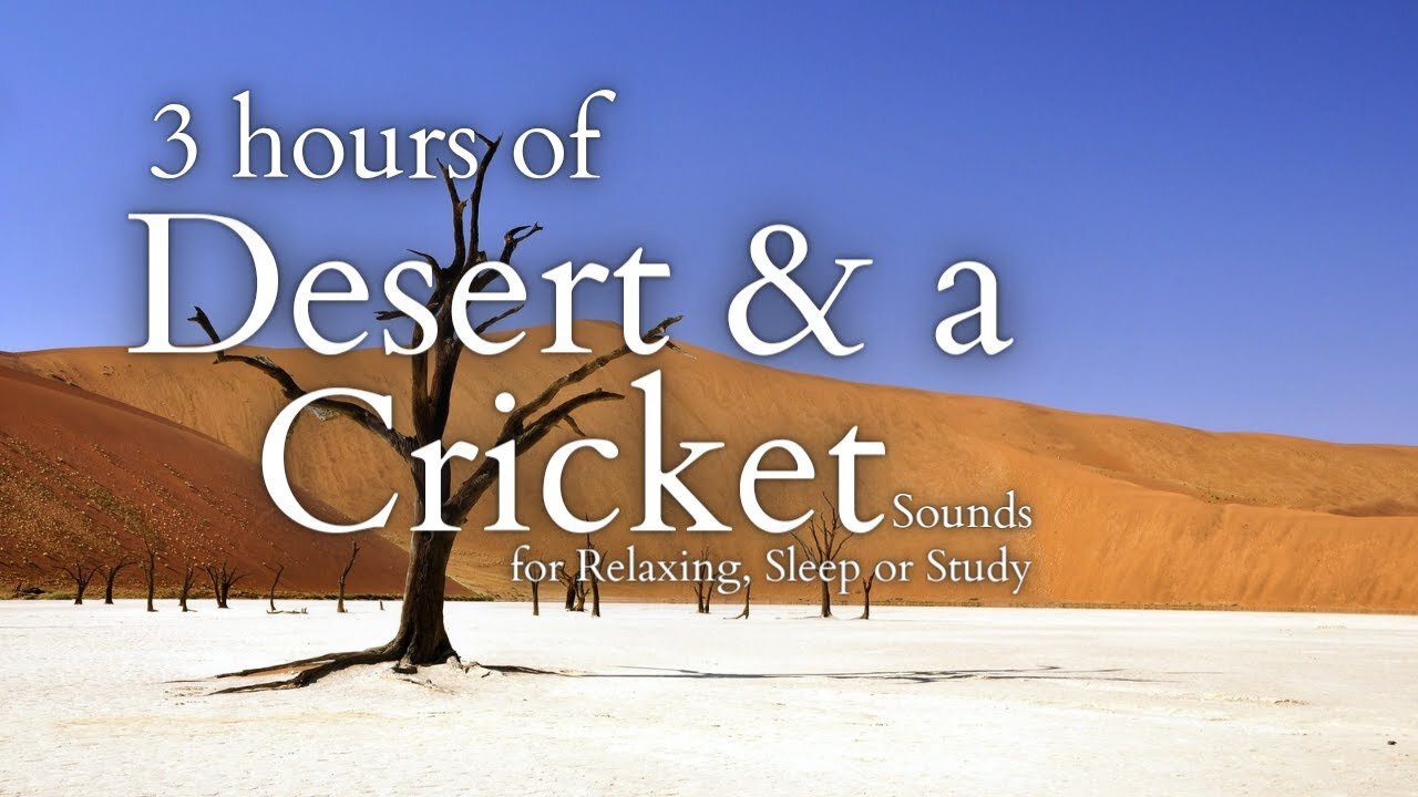 Desert and a Cricket | Relaxing Sound for Sleep or Study