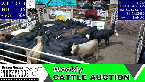 5/30/2023 - Beaver County Stockyards Livestock Auction