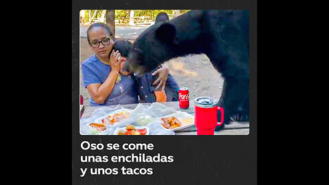 Oso sorprende a familia en un parque y les roba su comida