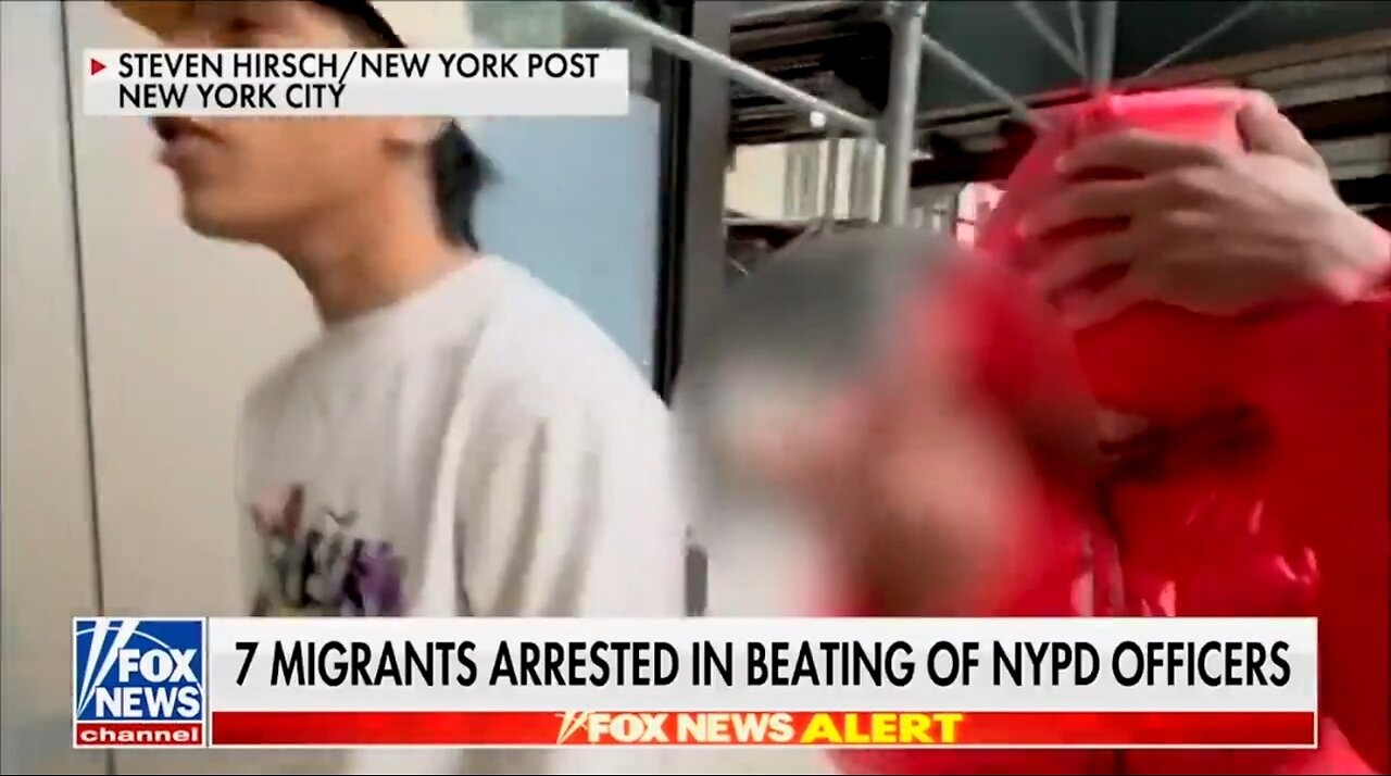 Illegal Aliens to America: Fu*k You