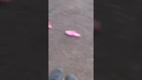 metal detecting 101