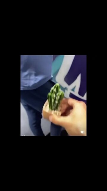 Guy tricked into grabbing a cactus #shorts