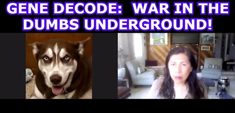 GENE DECODE: WAR IN THE DUMBS UNDERGROUND!