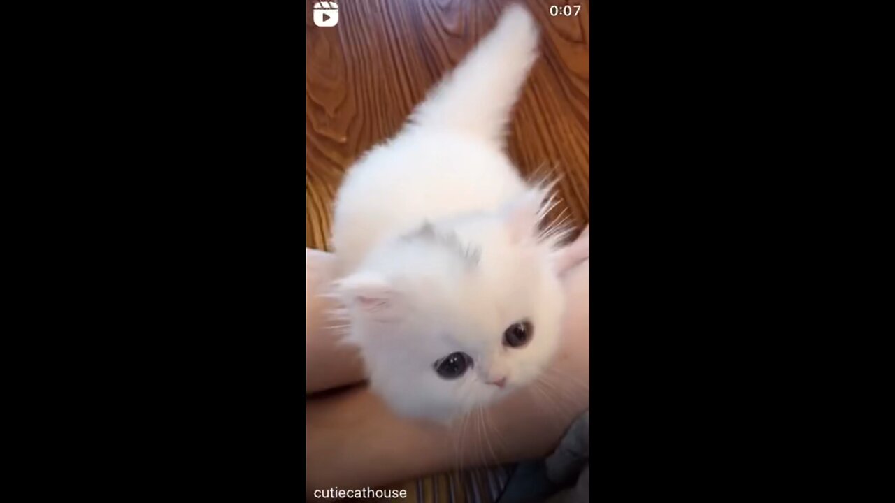 Kirsten wanting to go up
