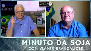Soja em dúvida sobre o USDA