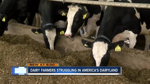 Declining milk prices puts Wisconsin farmers in a pinch