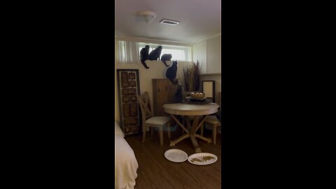 we all are excited for summer