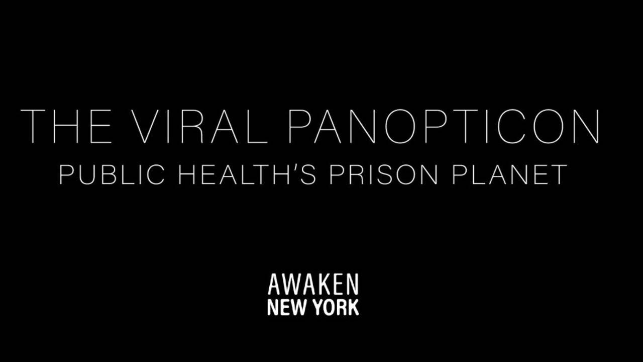 The Viral Panopticon Part 2