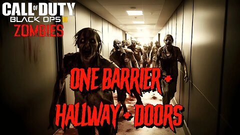 Call of Duty One Barrier + Hallway + Doors Custom Zombies Map