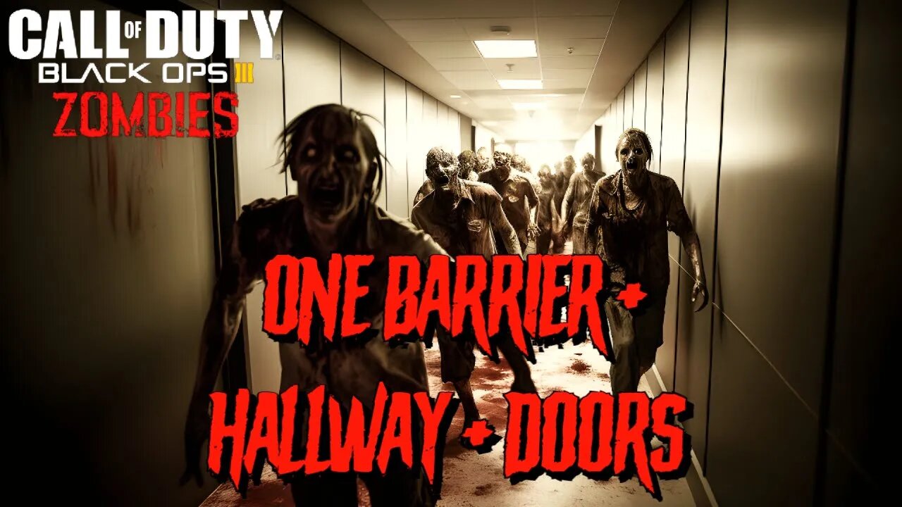 Call of Duty One Barrier + Hallway + Doors Custom Zombies Map