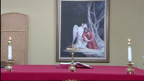 LIVE Palm Sunday Mass with Fr. Frank Pavone of Priests for Life