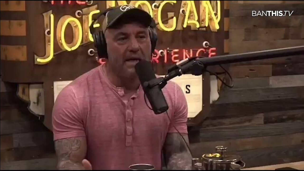 Joe Rogan Is Right