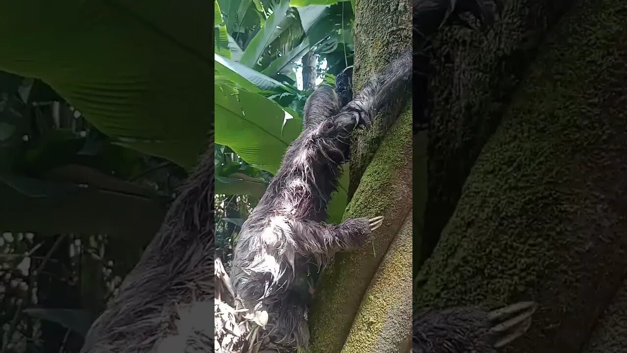 FOI EMBORA FELIZ DA VIDA 😻