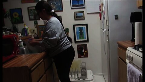 Kitchen Cleaning Motivation: Speed-Motion Video Of Unloading And Reloading The Dishwasher