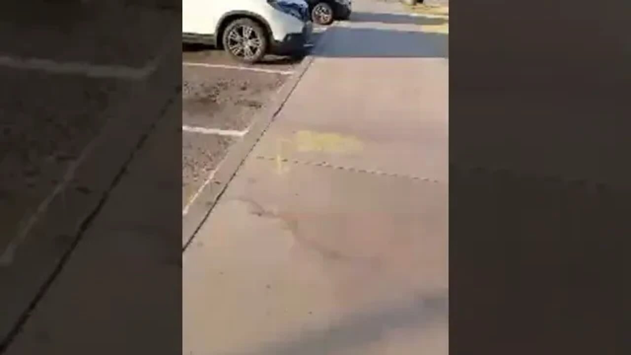 Going To The LAKE IRL
