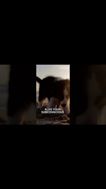 Why BELIEF Is Most Important When Astral Projecting