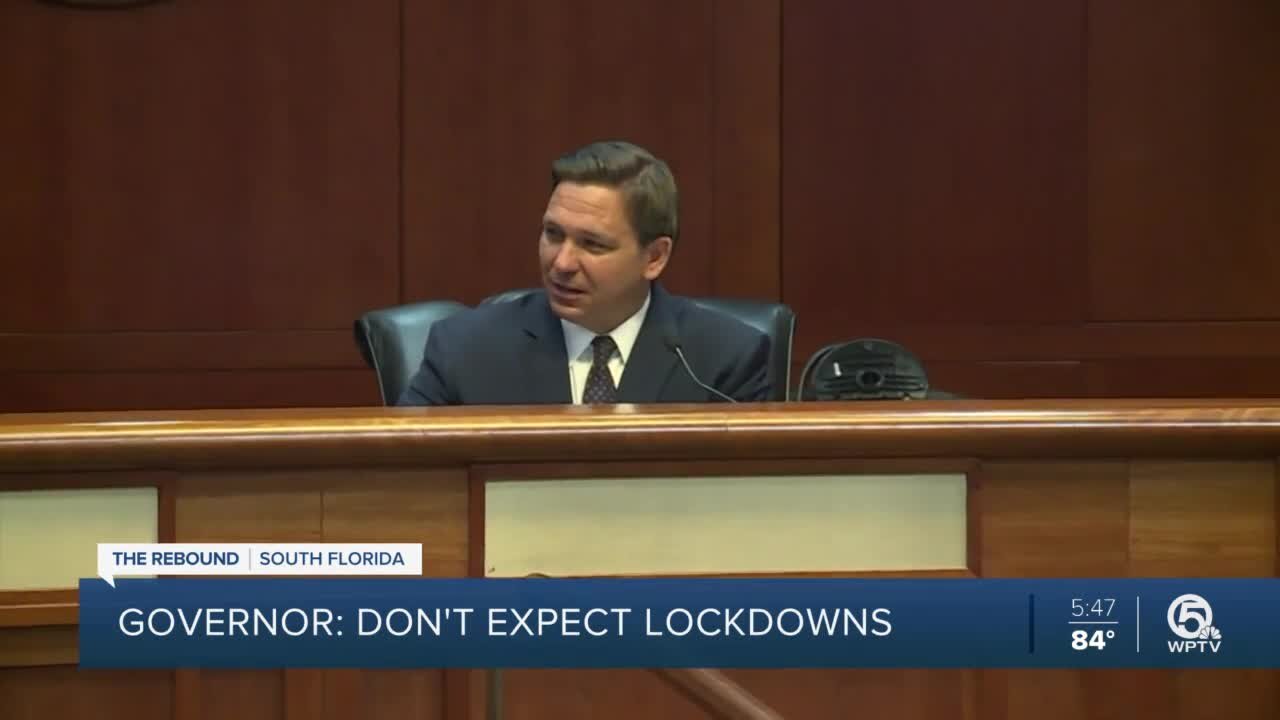 DeSantis panelists say mask mandates, lockdowns ineffective