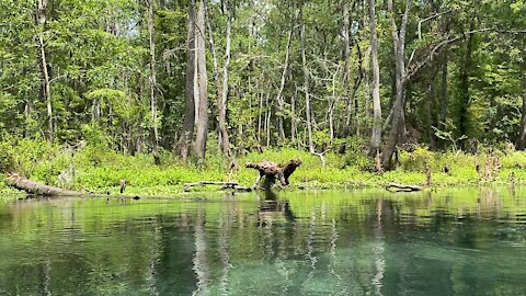 Ichetucknee Springs