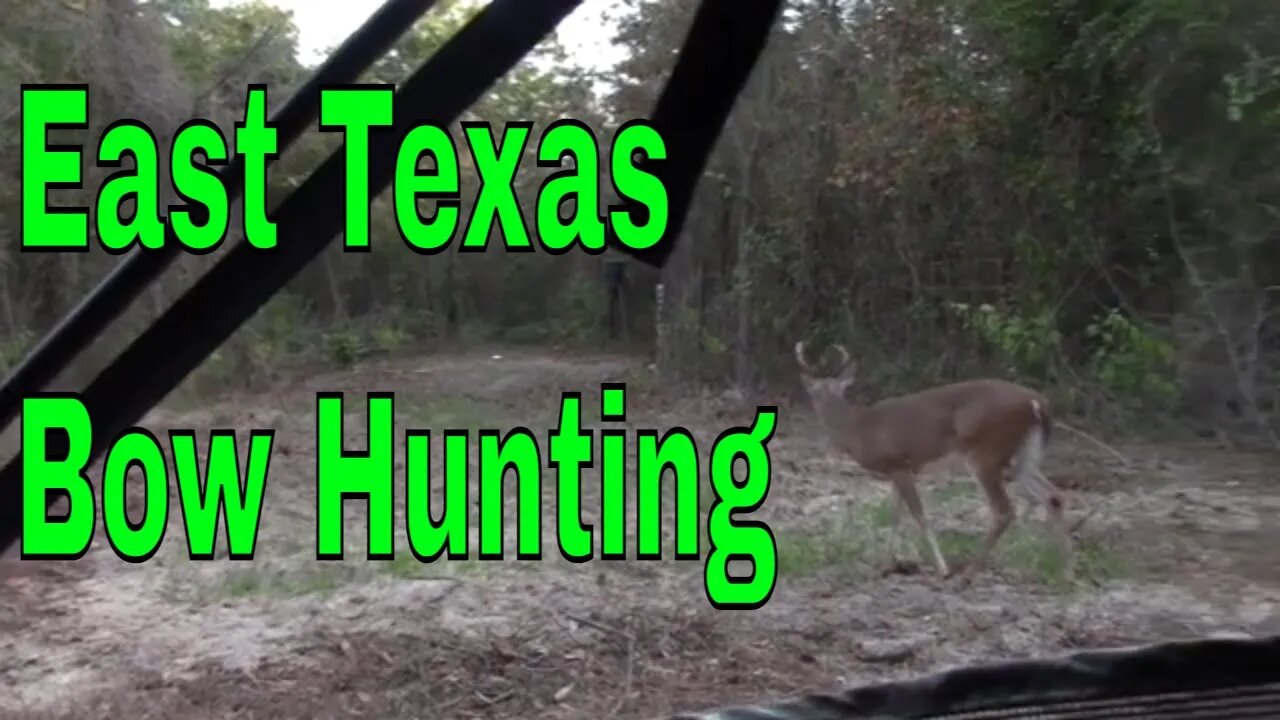 East Texas Bow Hunting