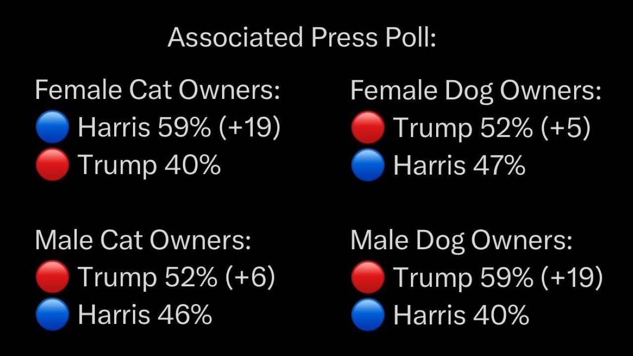 JD Vance Vindicated! Crazy Cat Ladies Came Out For Kamala Harris In 2024 Presidential Election