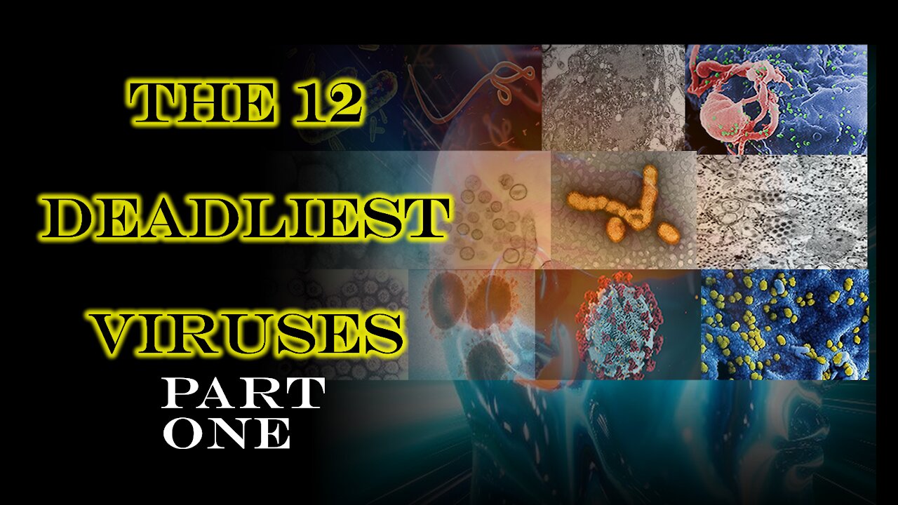 The 12 Deadliest Viruses, including Coronavirus (Covid-19) that caused the Pandemic. Part One