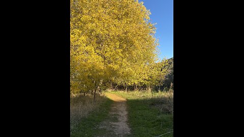 Beautiful Hikes in Texas