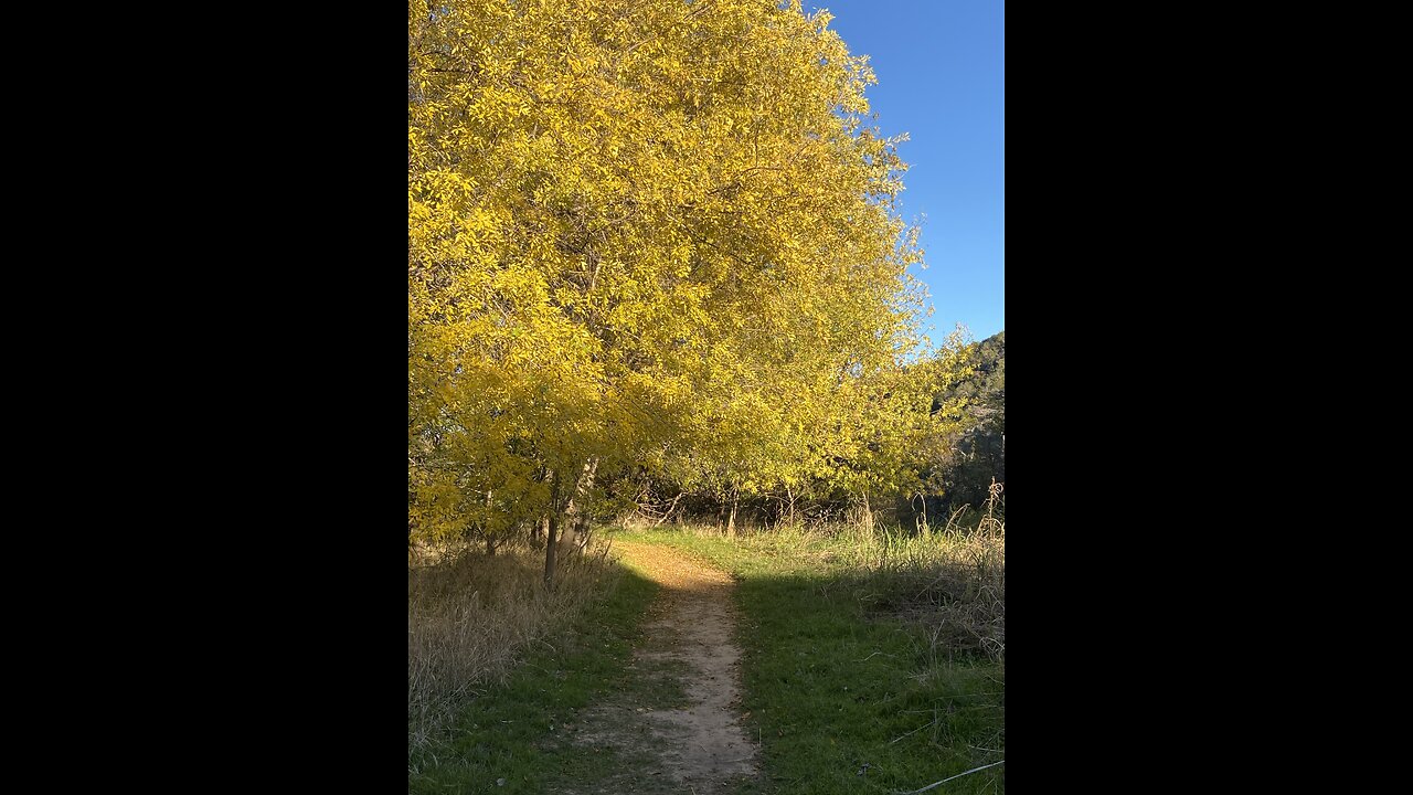 Beautiful Hikes in Texas