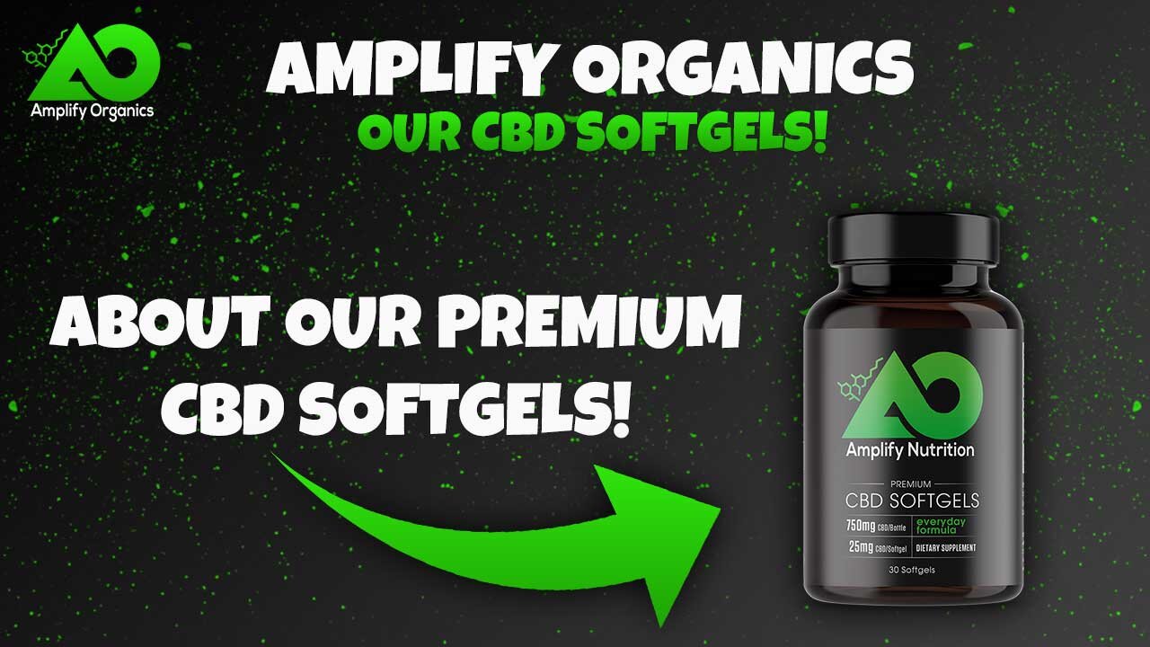 About Our CBD Softgels | Amplify Organics