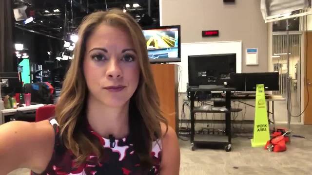 Gov. Scott calls for school safety seminar | Digital Short