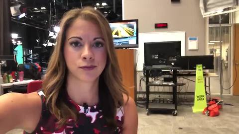 Gov. Scott calls for school safety seminar | Digital Short