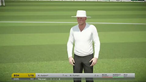 DON BRADMAN CRICKET 17 STREAM # 2