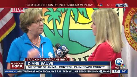 Palm Beach County Animal Care and Control says people are abandoning their pets over Hurricane Irma