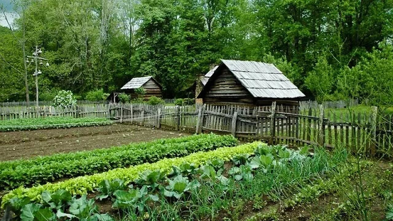 Haliburton Homesteaders. Local Issues. Joanne Johnson. From Worms To Chickens To Garden.