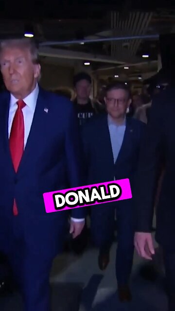 Speaker of the House Attends UFC with Donald Trump