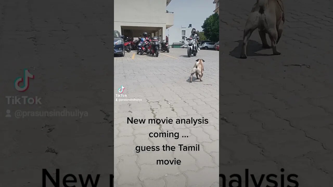 Guess the old movie