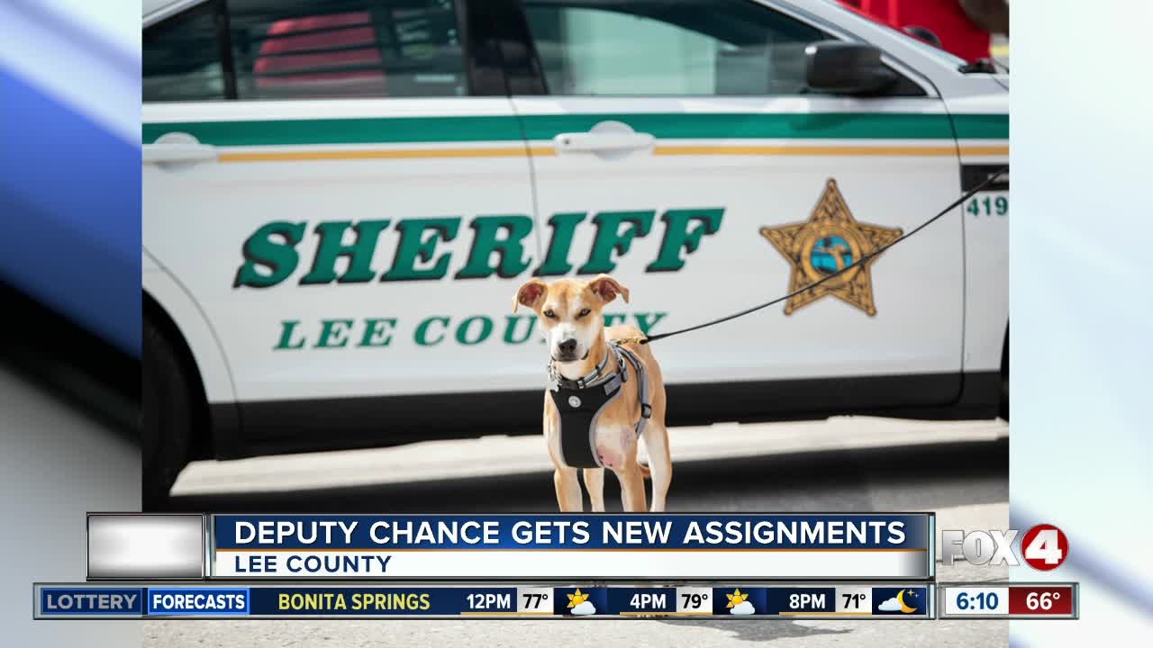 Abused dog gets new assignment at sheriff's office