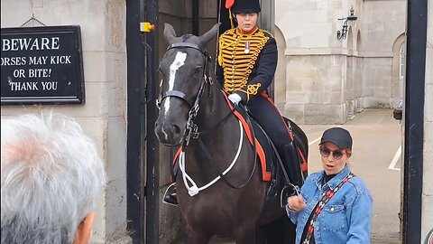 Don't touch the reins tourist jumps ans laughs #horseguardsparade